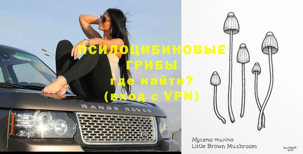 ГАЛЛЮЦИНОГЕННЫЕ ГРИБЫ Абаза