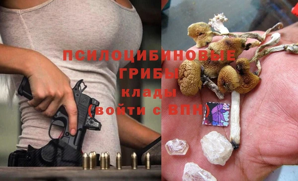 ГАЛЛЮЦИНОГЕННЫЕ ГРИБЫ Абаза