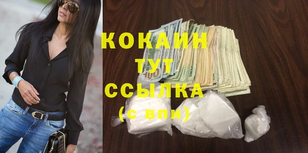 ГАЛЛЮЦИНОГЕННЫЕ ГРИБЫ Абаза