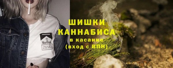 ГАЛЛЮЦИНОГЕННЫЕ ГРИБЫ Абаза